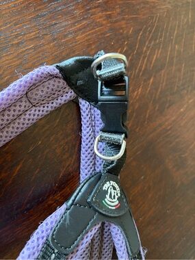 Purple Dog Harness with Padded Mesh and Secure Buckle